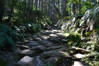 Kyoto, Nara, Koyasan & Kumano Kodo Pilgrimage Hike