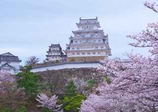 Best of Japan with Japanese Alps: Cherry 
Blossom 
Tour