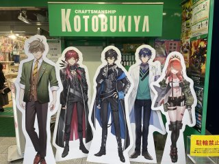 Tokyo Anime Private Tour