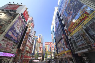 Anime Flavor: Tokyo & Kyoto with Hiroshima 
Cherry 
Blossom 
Tour