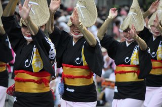 Best of Japan Tour Summer: Tokushima Awa 
Odori 
Dance Festival