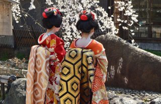 Best of Japan: Cherry Blossom Tour