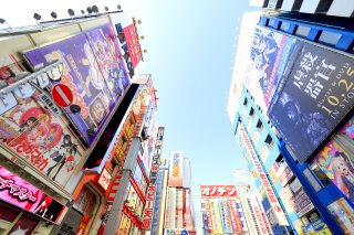 Anime Flavor: Tokyo & Kyoto Summer Tour