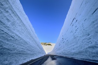 The Golden Triangle of Japan: Fuji Shibazakura, 
Snow 
Monkeys & Snow Corridor