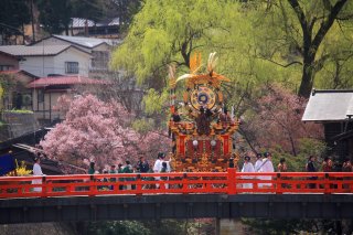 Signature: Classic Japan - Takayama Spring 
Festival & 
Cherry Blossom Tour