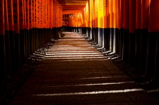 Best of Japan Tour Autumn