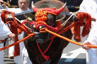 The Golden Route Japan Tour Spring: Kyoto 
Aoi Festival