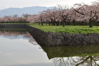 Charms of Hokkaido: Cherry Blossom Tour