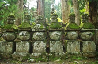 Japan In Depth Autumn Tour (Reverse) with 
Koyasan