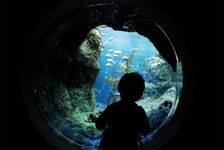 Tokyo with Kids