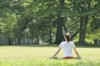 Japan Wellness Tour