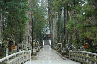 Spirit of Japan (Reverse): Takayama Spring 
Festival & 
Cherry Blossoms