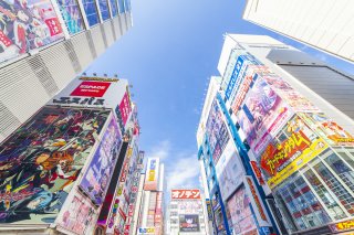 Anime Flavor: Tokyo & Kyoto Autumn Tour