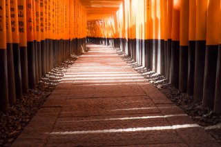 Best of Japan Tour Spring with Japanese Alps