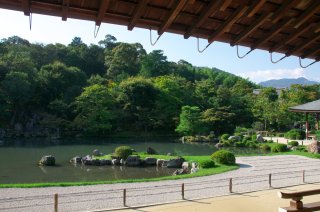 Japan Garden Private Tour