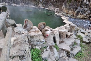 Nagano, Matsumoto, Takayama, Shirakawago &  
Kanazawa Private Tour
