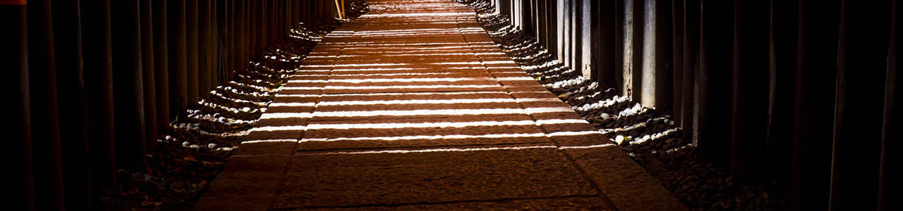 header image