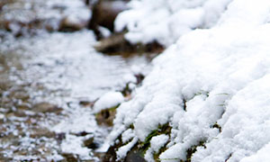 about japan Climate photo4