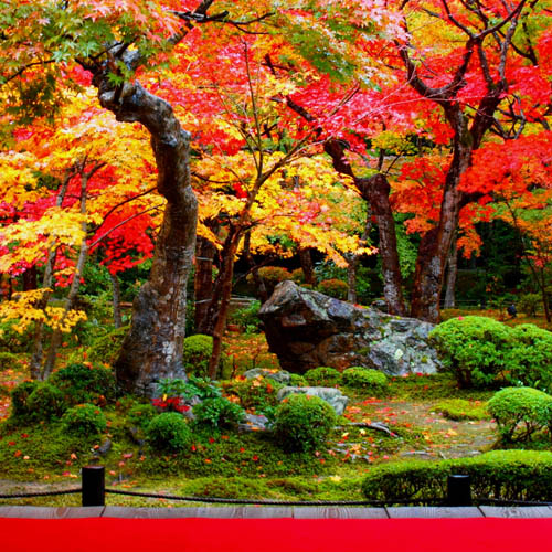 photo of Japanese gardens one