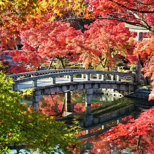 photo of Japanese gardens two