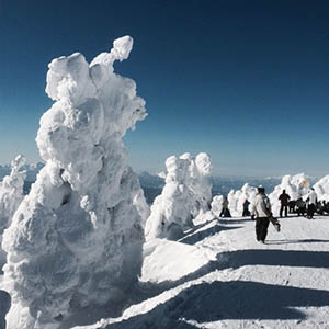 photo of natural types of scenery in Japan