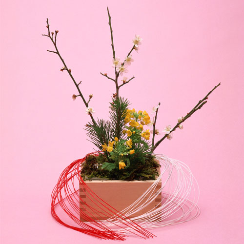 photo of Flower Arranging in Japan