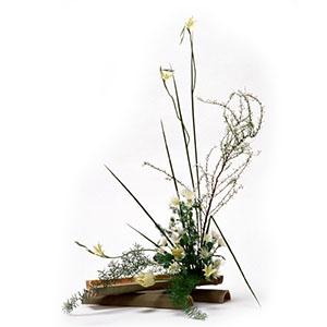 photo of Flower Arranging
