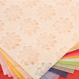 photo of Japanese Origami two