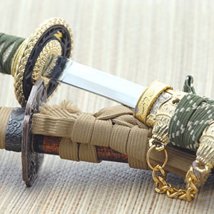 photo of Japanese Sword