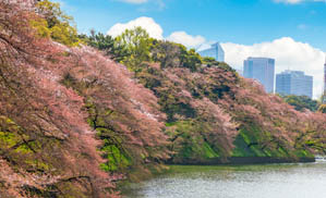 Spring