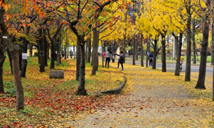 Autumn