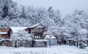 Winter
