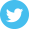 twitter icon