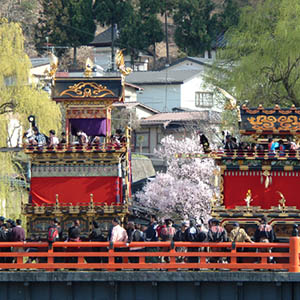 photo of Festivals