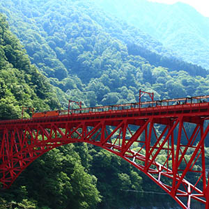 photo of Nature