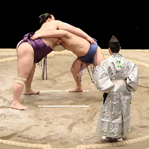 photo of Sumo