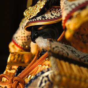 photo of Samurai