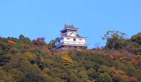 photo of Iwakuni Castle