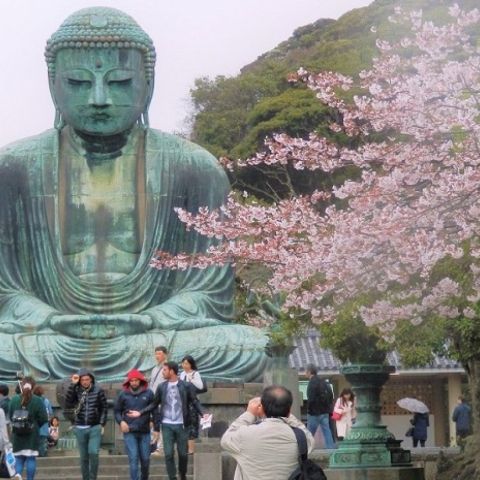 TOP PLACES TO SEE IN JAPAN IN 2026: 20 CITIES WE LOVE