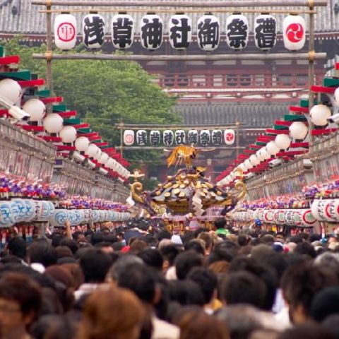 IS A JAPAN GROUP TOUR WORTH IT? INDEPENDENT TRAVEL VS GUIDED TOURS IN JAPAN