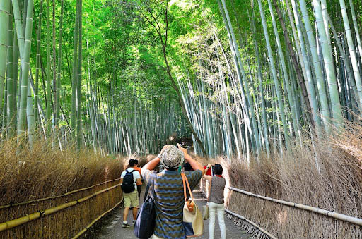 Homestay Experience
