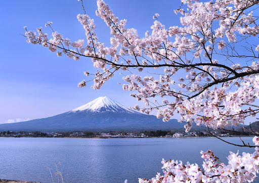 Spring Japan Tours