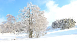 Travel Tips climate spring