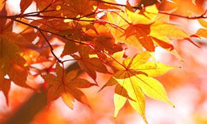 Travel Tips climate autumn