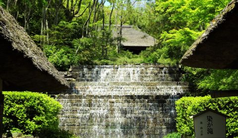 photo of Shikoku Mura