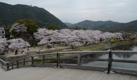 photo of Kintaikyo Bridge
