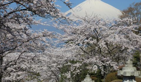 photo of Gotemba Peace Park