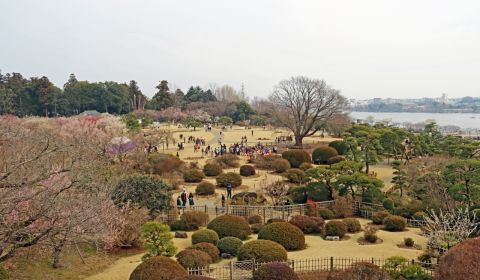 photo of Mito