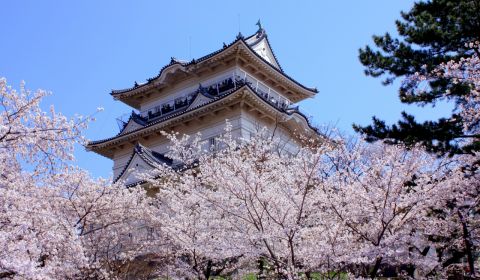 photo of Odawara Castle