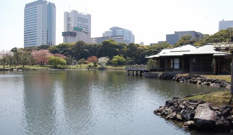photo of Hama-Rikyu Garden